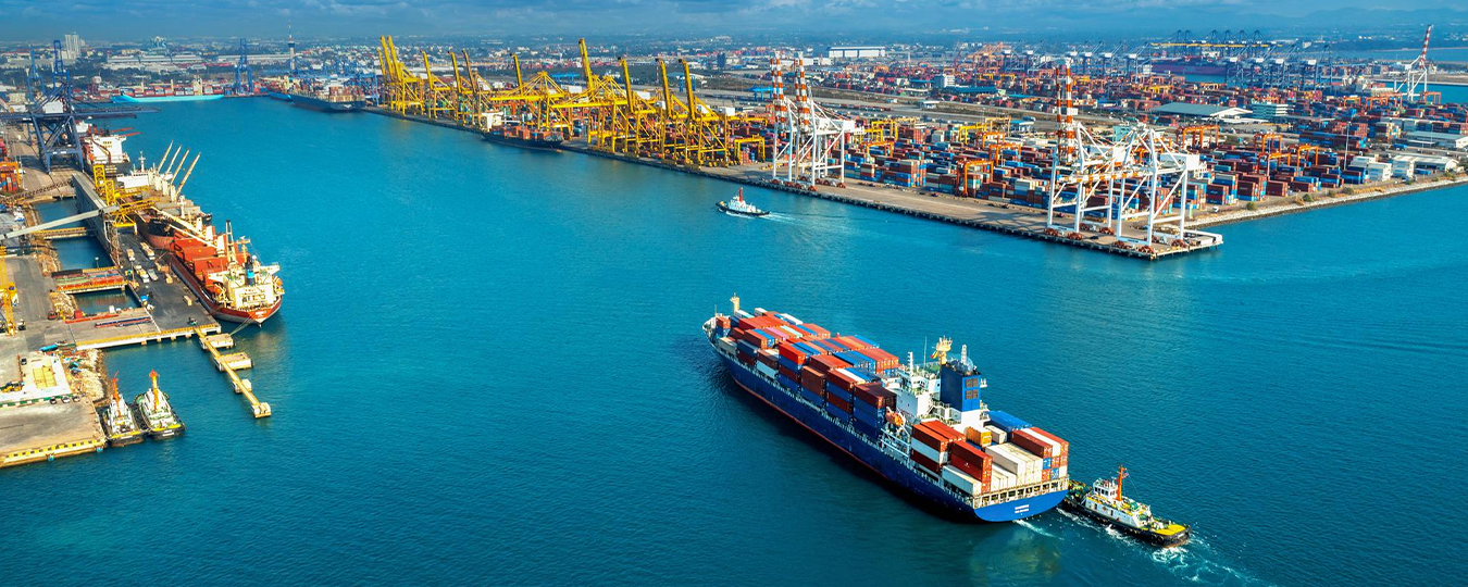 MDG SERVICES AND TRADING COMPANY LIMITED